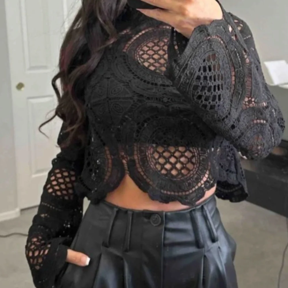 Luxe Sheer Mock neck Flared Long Sleeve Lace Blouse